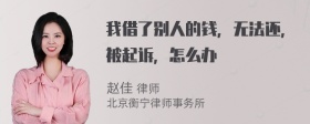 我借了别人的钱，无法还，被起诉，怎么办