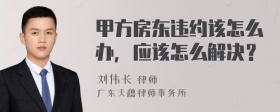 甲方房东违约该怎么办，应该怎么解决？