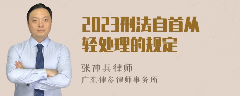 2023刑法自首从轻处理的规定