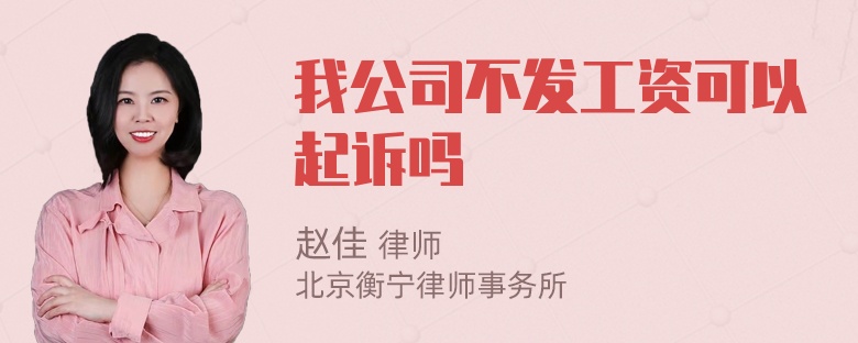 我公司不发工资可以起诉吗