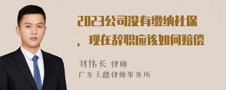 2023公司没有缴纳社保，现在辞职应该如何赔偿