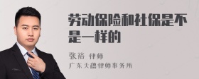 劳动保险和社保是不是一样的