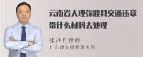 云南省大理弥渡县交通违章带什么材料去处理