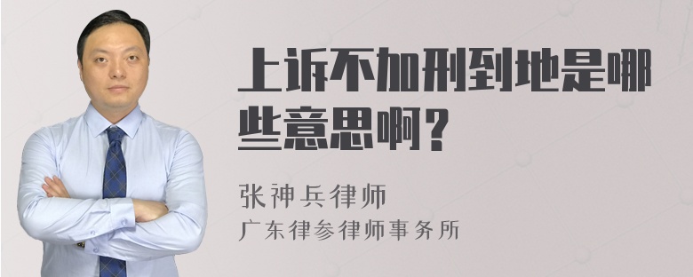 上诉不加刑到地是哪些意思啊？