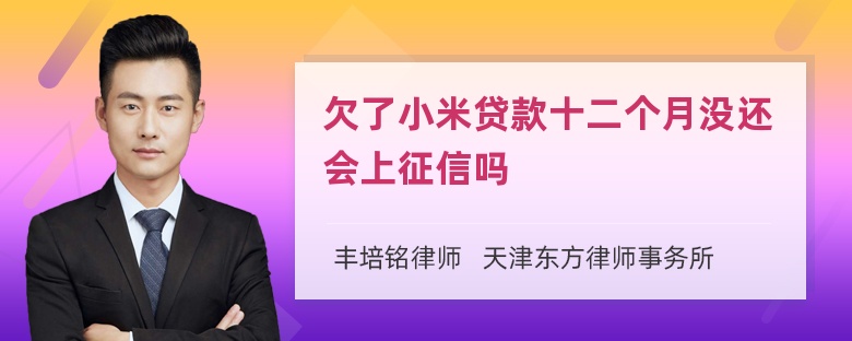 欠了小米贷款十二个月没还会上征信吗