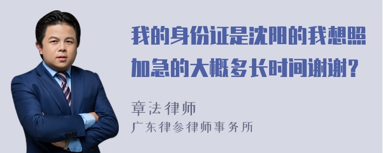 我的身份证是沈阳的我想照加急的大概多长时间谢谢？