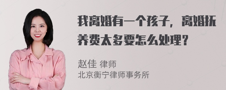 我离婚有一个孩子，离婚抚养费太多要怎么处理？