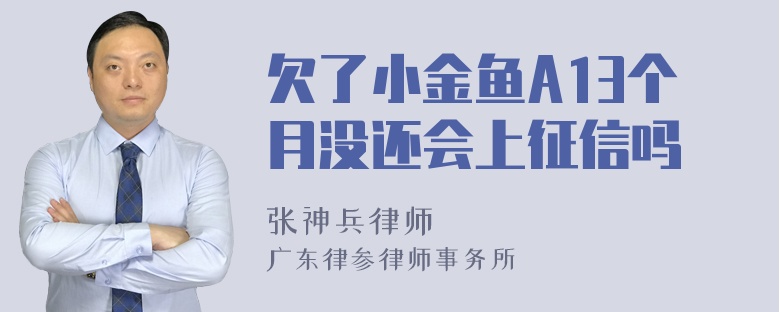 欠了小金鱼A13个月没还会上征信吗