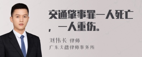 交通肇事罪一人死亡，一人重伤。