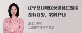 辽宁营口地区交通死亡赔偿金有多少，农村户口