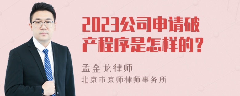 2023公司申请破产程序是怎样的？