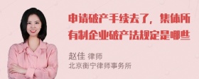 申请破产手续去了，集体所有制企业破产法规定是哪些