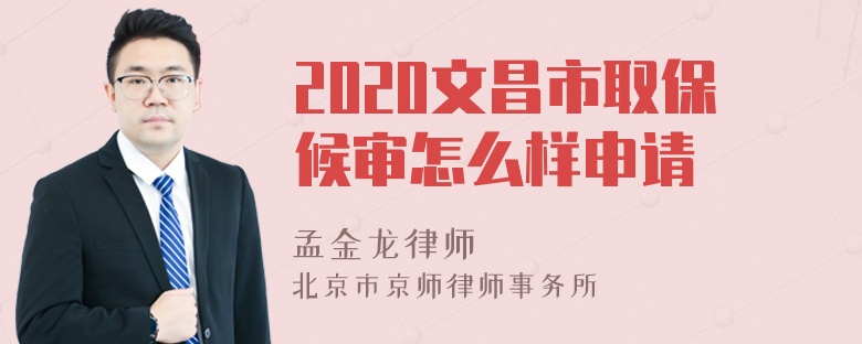 2020文昌市取保候审怎么样申请