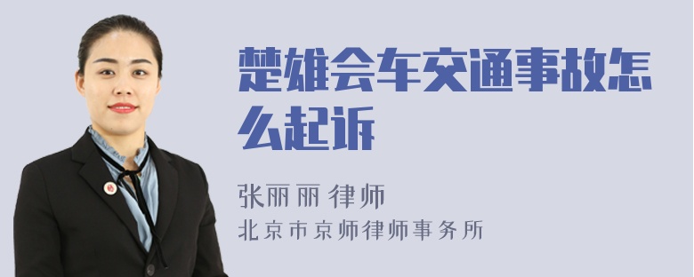 楚雄会车交通事故怎么起诉
