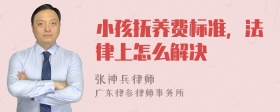 小孩抚养费标准，法律上怎么解决