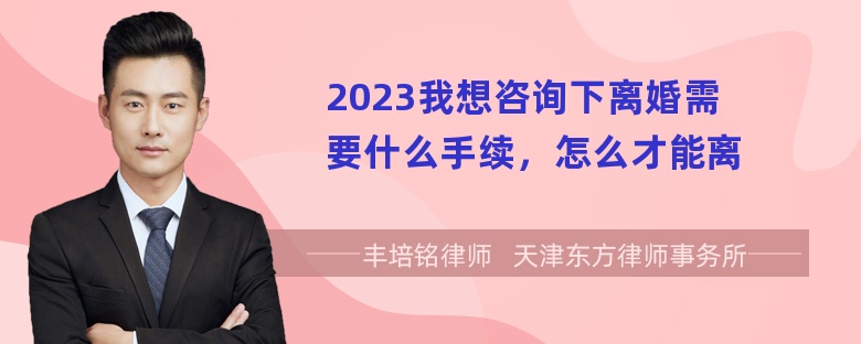 2023我想咨询下离婚需要什么手续，怎么才能离