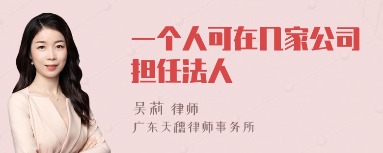 一个人可在几家公司担任法人