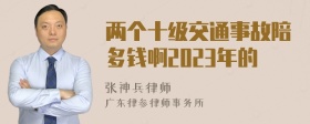 两个十级交通事故陪多钱啊2023年的