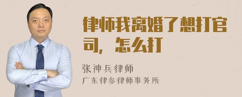 律师我离婚了想打官司，怎么打