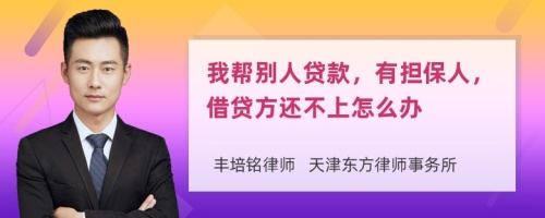 我帮别人贷款，有担保人，借贷方还不上怎么办