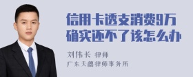 信用卡透支消费9万确实还不了该怎么办