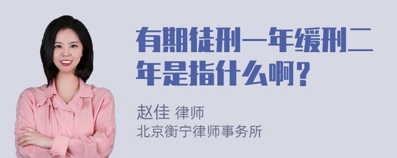 有期徒刑一年缓刑二年是指什么啊？