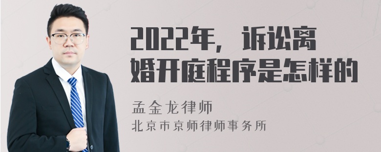 2022年，诉讼离婚开庭程序是怎样的