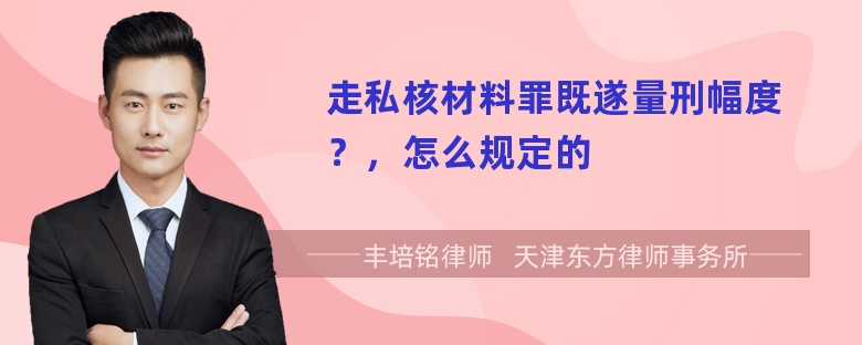 走私核材料罪既遂量刑幅度？，怎么规定的