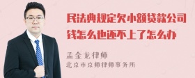 民法典规定欠小额贷款公司钱怎么也还不上了怎么办