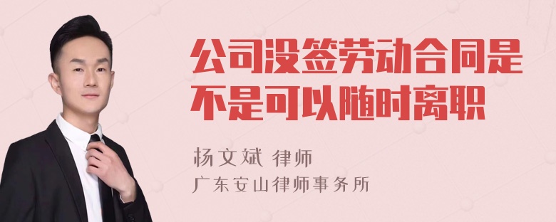 公司没签劳动合同是不是可以随时离职