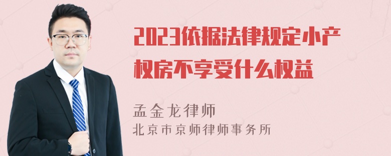 2023依据法律规定小产权房不享受什么权益