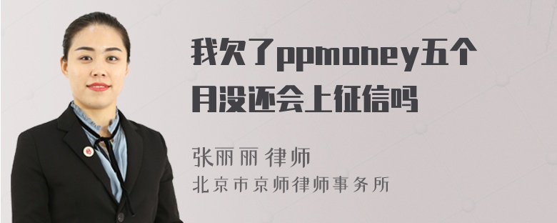 我欠了ppmoney五个月没还会上征信吗