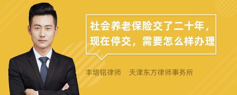 社会养老保险交了二十年，现在停交，需要怎么样办理