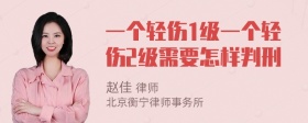 一个轻伤1级一个轻伤2级需要怎样判刑