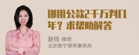 挪用公款2千万判几年？求帮助解答