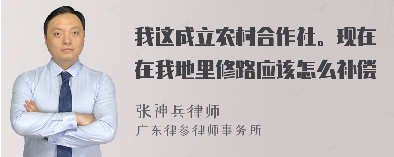 我这成立农村合作社。现在在我地里修路应该怎么补偿