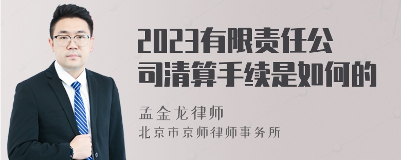 2023有限责任公司清算手续是如何的