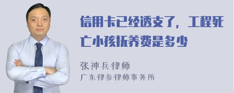 信用卡已经透支了，工程死亡小孩抚养费是多少