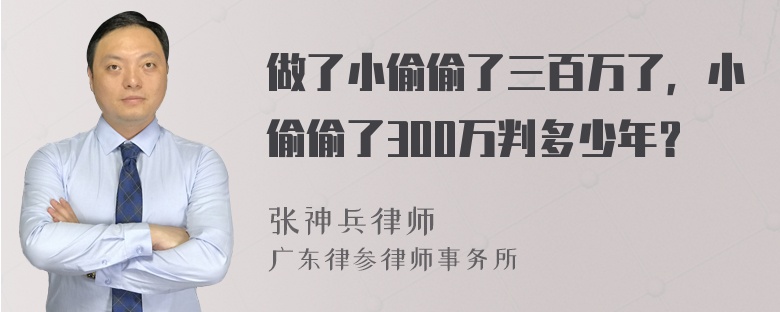 做了小偷偷了三百万了，小偷偷了300万判多少年？