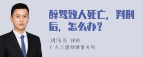 醉驾致人死亡，判刑后，怎么办？