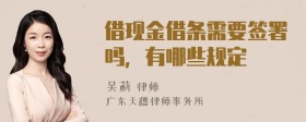 借现金借条需要签署吗，有哪些规定