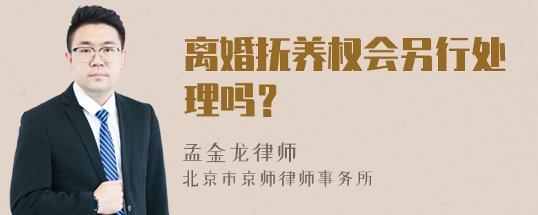 离婚抚养权会另行处理吗？