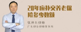 20年应补交养老保险多少数额