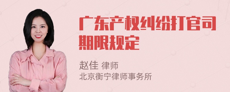 广东产权纠纷打官司期限规定