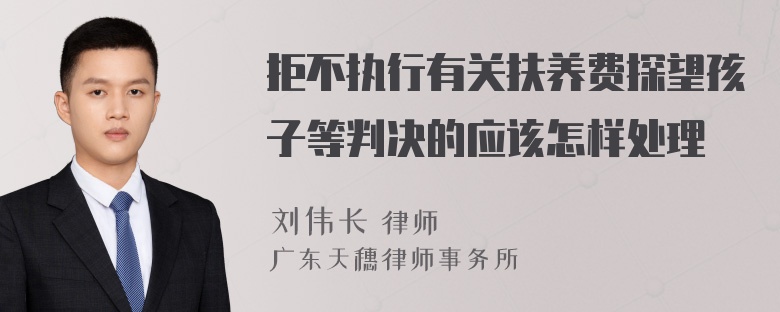 拒不执行有关扶养费探望孩子等判决的应该怎样处理