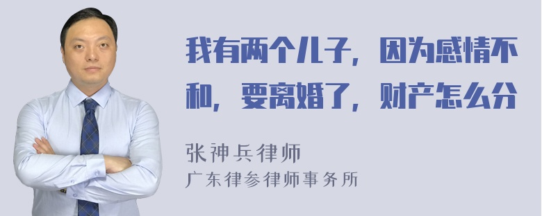 我有两个儿子，因为感情不和，要离婚了，财产怎么分