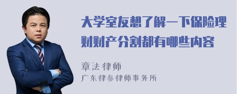 大学室友想了解一下保险理财财产分割都有哪些内容