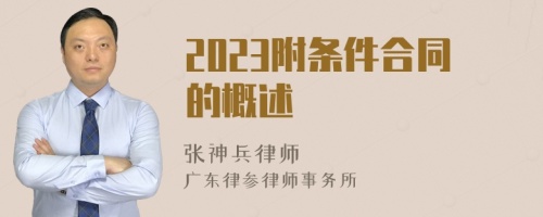 2023附条件合同的概述