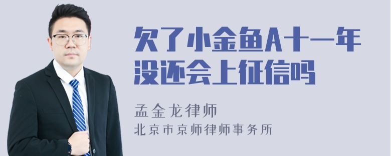 欠了小金鱼A十一年没还会上征信吗