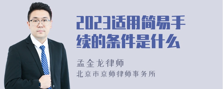 2023适用简易手续的条件是什么